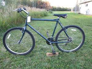Trek Mountain Track Bike