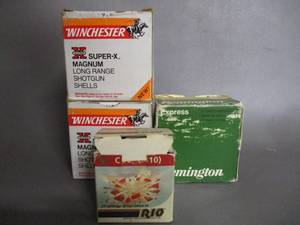 20 Gauge Shotgun Shells
