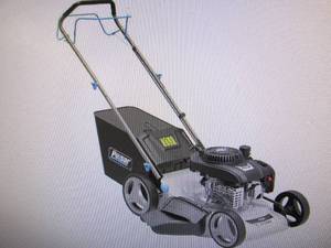 Pulsar 21 200cc Self-Propelled 3-i...