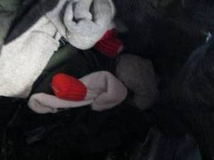 lot of hunting clothes and more ...
