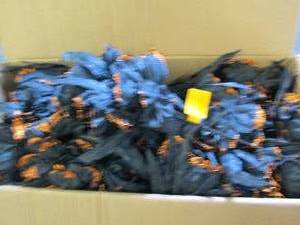 box of halloween camelia picks ...