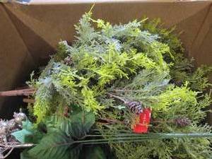 box of pine leaf brush and berry bu...