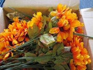box of sunflower picks ...