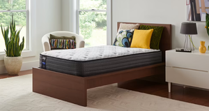 lot 1 image: Brand New Sealy Response Performance Plush Twin Mattress