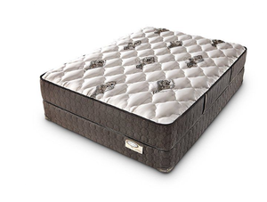 lot 12 image: Brand New Denver Mattress Doctors Choice Plush King Mattress