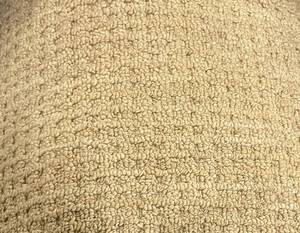 lot 107 image: 12 x 25 Roll (300 Sq Ft) Shaw Loop Harvest Carpet