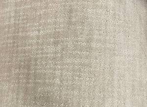 lot 110 image: 12 x 296 (354 Sq Ft) Tuftex Designers Trend Aspen Carpet