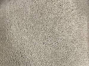 lot 114 image: 12 x 123 Roll (147 Sq Ft) Dixie Home Refreshing Driftwood Carpet