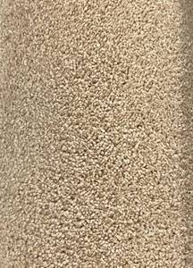 lot 125 image: 12 x 83 Roll (99 Sq Ft) Masland Embrace Anzac Carpet