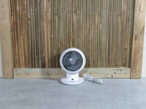 lot 21 image: Woozoo Globe Multi-Directional 5-Speed Oscillating Fan