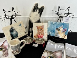Meow Feline Fun Things