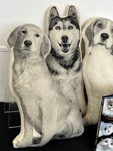 Fun Dog Shaped Pillows and a Fun Book