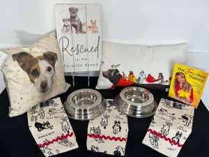 Must Love Dogs Fun Canine Themed Items