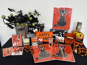 Collection of Fun Halloween Items