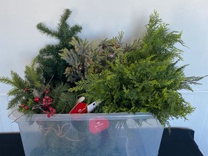 Christmas Greenery