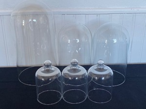 Six Glass Cloches