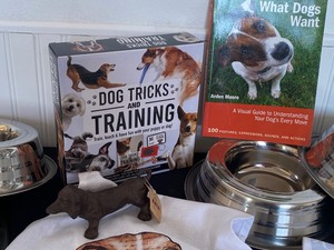 For the Love of Dogs