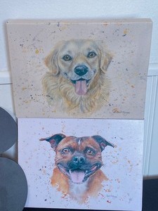 Fun Canine Things
