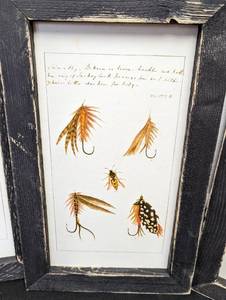 Four Framed Fish Prints