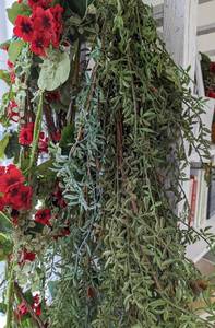 Assorted Faux Floral Garlands