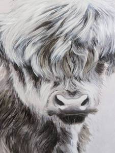 Framed Highland Cow Canvas Print