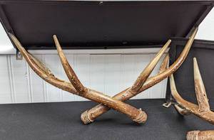 Pair of Faux Antler Wall Shelves