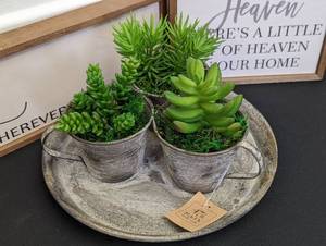 Decorative Wall Signs and Faux Succulent Arrangement