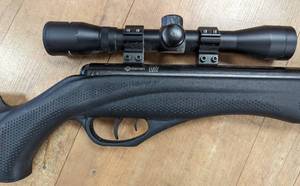 Crosman Fury .177 Cal. Air Shotgun with Scope