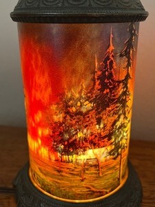 lot 56 image: Colorful Vintage Fire Themed  Motion Light