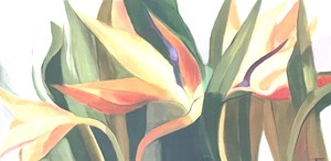 lot 171 image: Fantastic Framed Floral Art Print by Fura