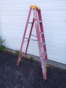 lot 56 image: 6 Fiberglass Ladder