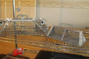 lot 481 image: Lot of (2) Live Animal Traps