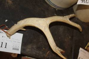 lot 611 image: 22 4-point Deer Antler