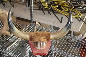 lot 638 image: Bull Horns and Hoof Mount