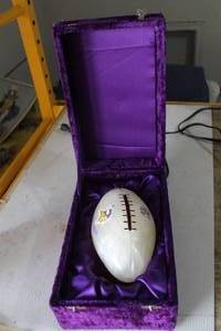 lot 340 image: Minnesota Vikings Polished Stone Football with Purple Velvet Case