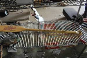 lot 343 image: 46 Leinenkugels Beers The Legend of the Northwoods Wood Paddle