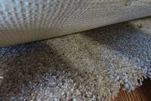 Engineered Floors Carpet Remnant 16ft x 12ft -Winter Brooke