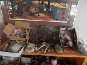 Nature Pieces