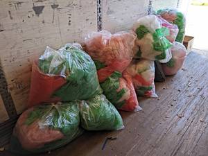 Lot of (12) Garbage Bags of Bubble Wrap