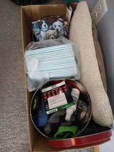 lot 126 image: Doggy Box