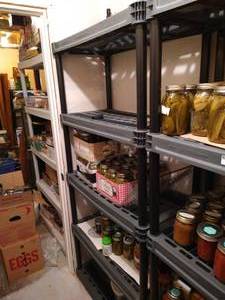 lot 282 image: Shelf Unit