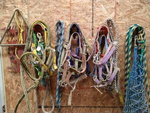 lot 415 image: Halters, Lead Ropes, Etc.