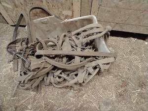 lot 482 image: Horse Lot