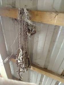 lot 483 image: Small Mammal Spring Traps