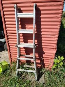 lot 493 image: Worlds Greatest Ladder