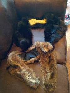 lot 426 image: Hand-stitched Fur Collars