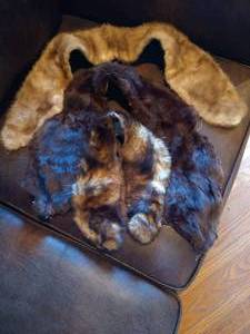 lot 433 image: (3) Fur Collars