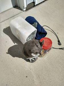 lot 546 image: Miscellaneous Lot