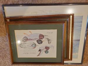 Collection Of Nature Prints