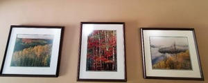 Three Signed And Numbered Prints